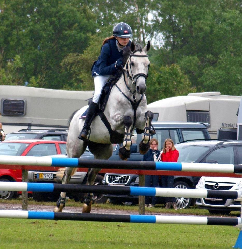 Anden særlig race Mr. Blue Sky ***Gunnar*** - Foto: Katrine Bruun billede 18