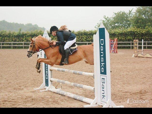 New Forest Super Mulle<3<3<3 - you are like water, with out you, i would die!
Taget af jasmin! billede 16