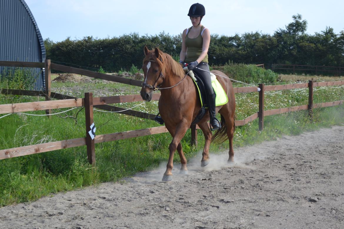 Anden særlig race Monique *Tyksakken*<3 - 19 august 2012
 billede 9