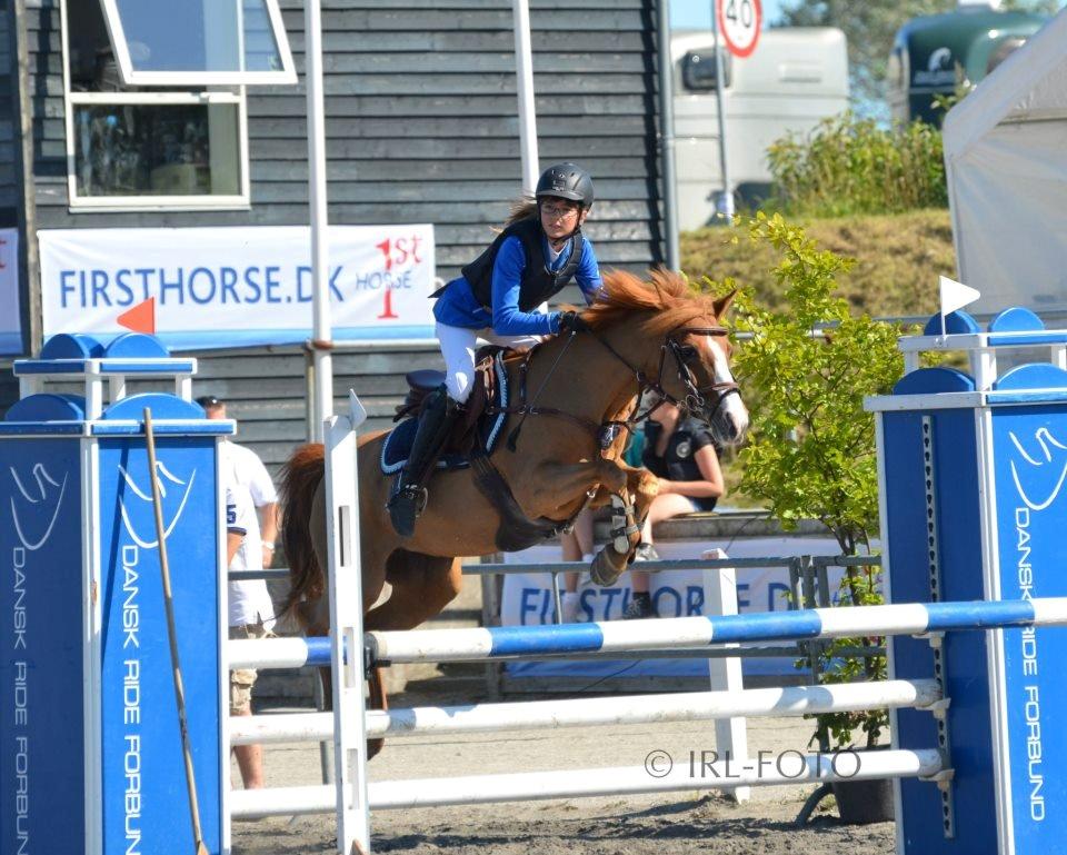Hollandsk Sportspony Orchid´s Mirabile<3 A-pony billede 18