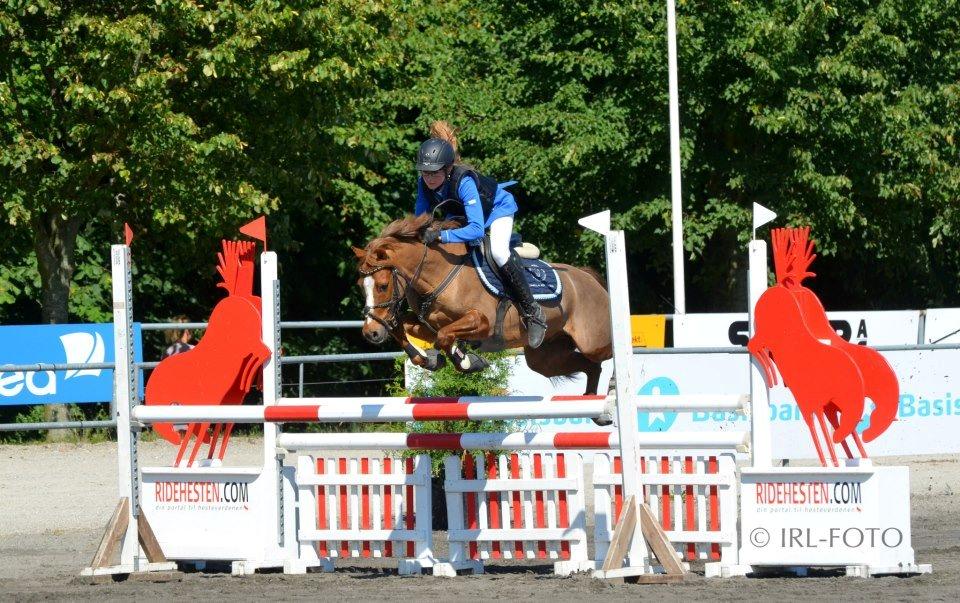 Anden særlig race Bakkegaardens Bailey<3 A-pony - DM 2012 billede 17