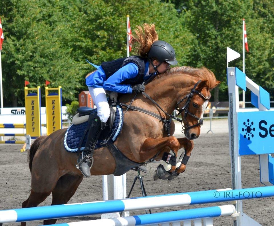 Anden særlig race Bakkegaardens Bailey<3 A-pony - DM 2012 billede 18