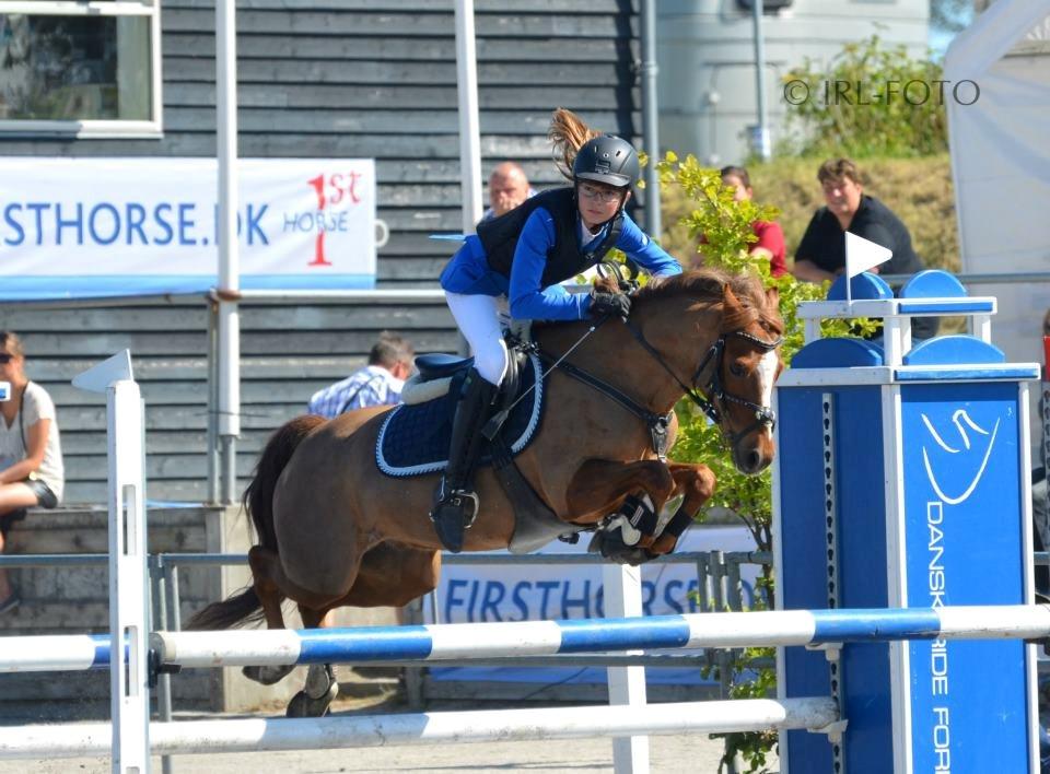 Anden særlig race Bakkegaardens Bailey<3 A-pony - DM 2012 billede 9