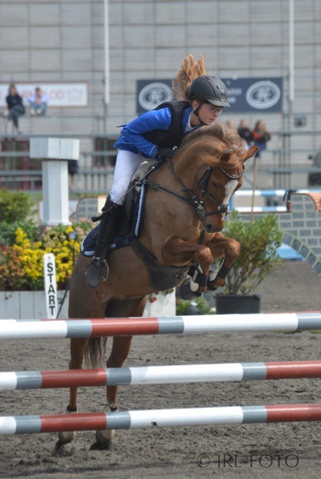 Anden særlig race Bakkegaardens Bailey<3 A-pony - DM 2012 billede 20