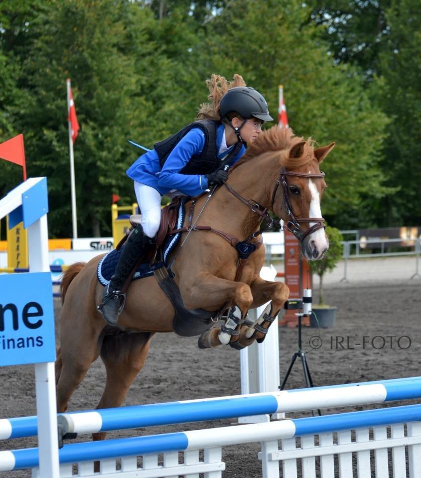 Hollandsk Sportspony Orchid´s Mirabile<3 A-pony billede 19