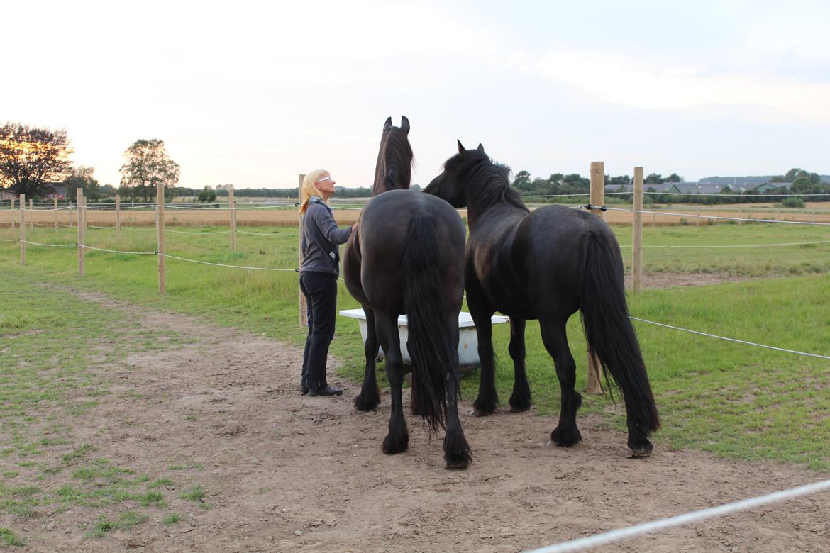Frieser Wietske fan't Slyp - Lige en lille nusser og beroligende ord. billede 7