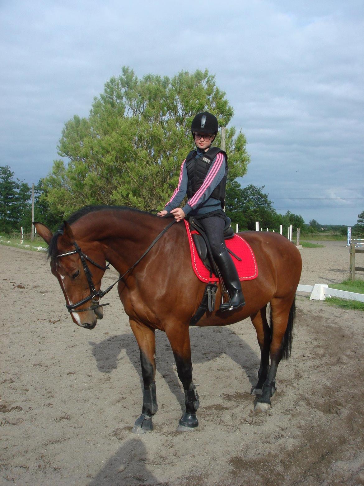 Oldenborg Yasmin (Molique) - Smukke dig <3 billede 5