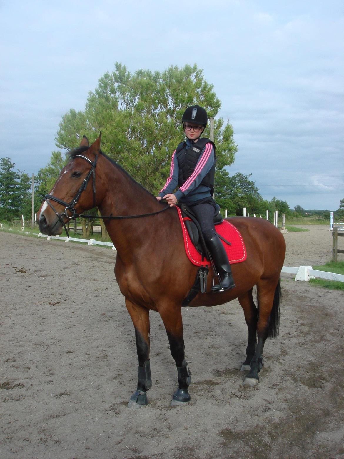 Oldenborg Yasmin (Molique) - Lidt opmærksom ;) billede 6