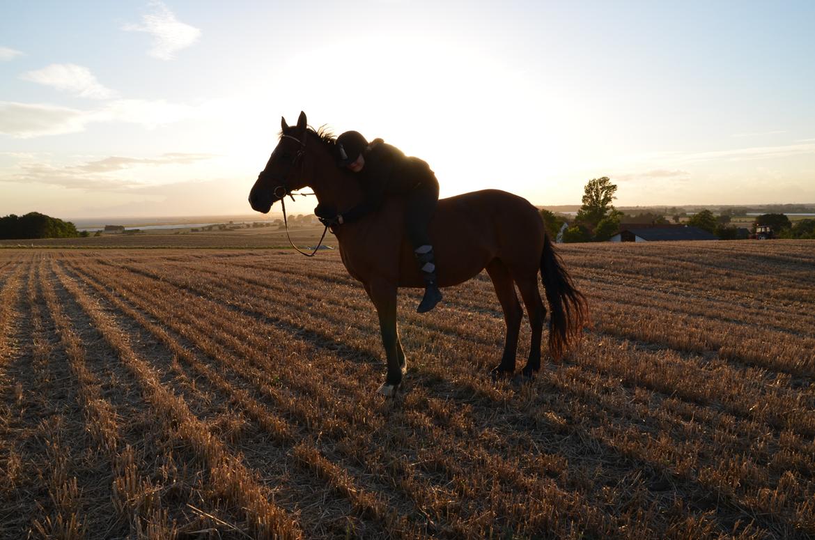 Anden særlig race Miranda [Drømmehesten] - Mig og min dejlige hest!<33 billede 16