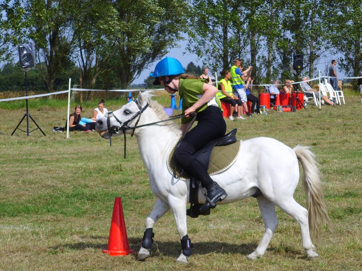 Anden særlig race Kasper - Mig og Kasper til vores første stævne. Her i Moat & Castle billede 15