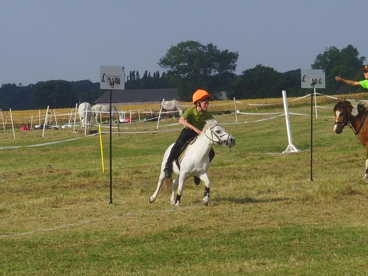 Anden særlig race Kasper - Mig og Kasper til vores første stævne. Her i Bank Race billede 1