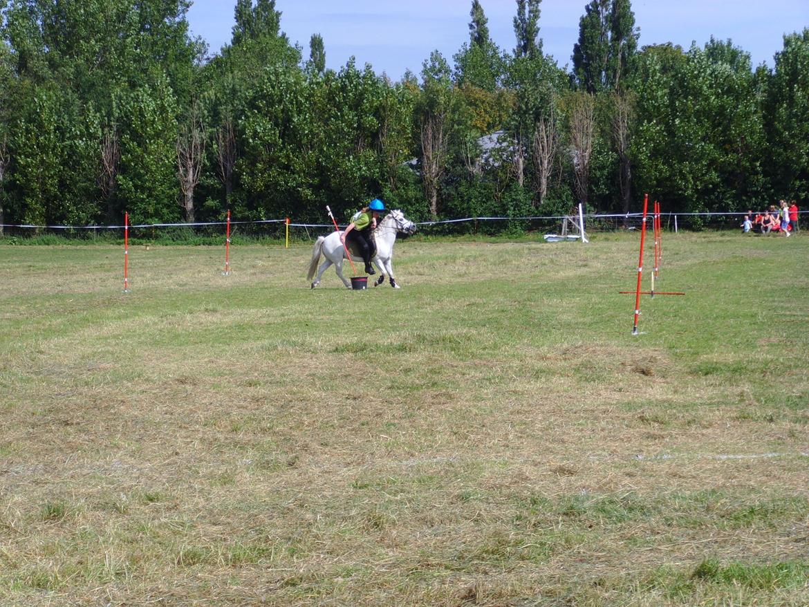 Anden særlig race Kasper - Mig og Kasper til vores første stævne. Her i Litters billede 16