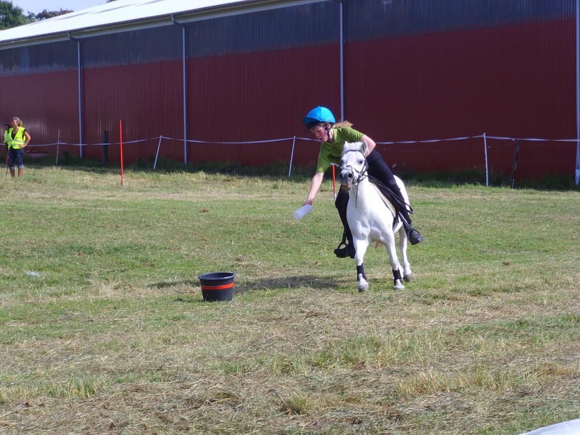 Anden særlig race Kasper - Mig og Kasper til vores første stævne. Her i Carton billede 17