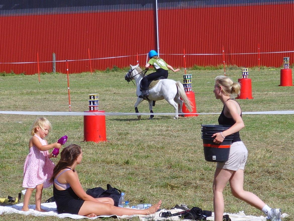 Anden særlig race Kasper - Mig og Kasper til vores første stævne. Her i Association Race (Bogstaver) billede 18