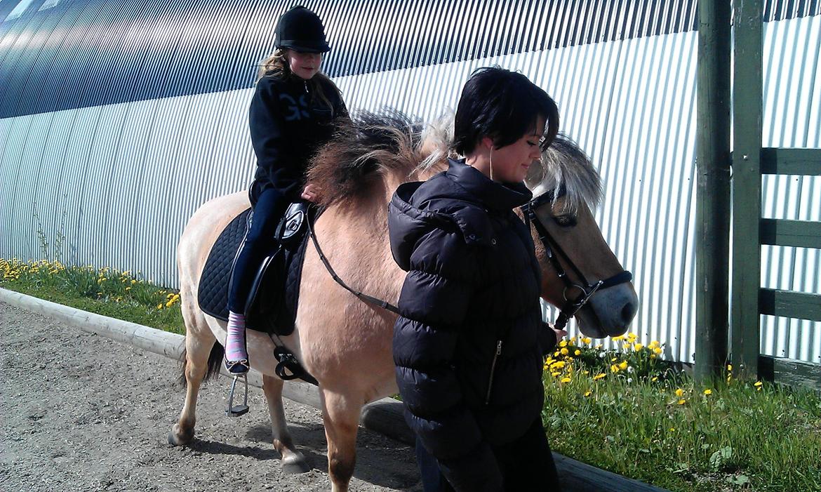 Fjordhest Frida af Tranemosen - Min søde kusine og Frida. <3 billede 14