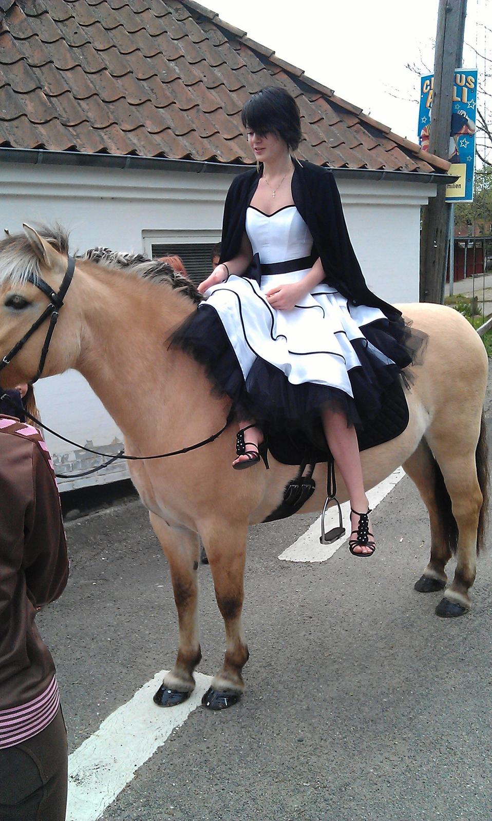 Fjordhest Frida af Tranemosen - Til min konfirmation, 04-05-12 billede 17