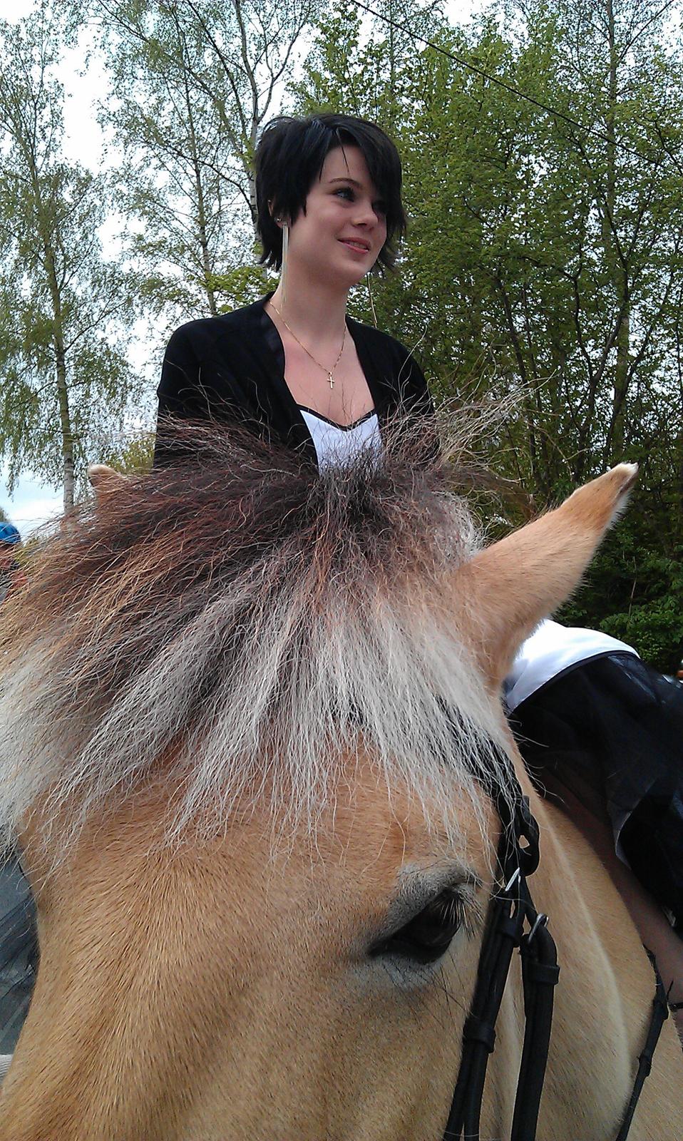 Fjordhest Frida af Tranemosen billede 19