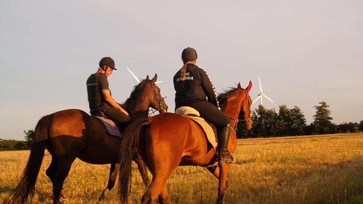 Fuldblod (XX) Flying Times/Flay - Flay og Maria og Chris og en af Søballegårdridecenters hest. billede 9
