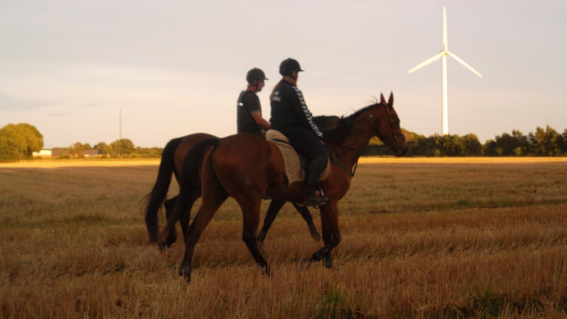 Fuldblod (XX) Flying Times/Flay - Flay og Maria  billede 10