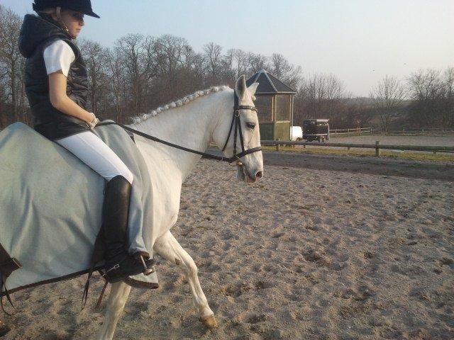 Anden særlig race cirkeline - *Jeg kender til smerte, men ægte kærlighed er det værste* billede 4