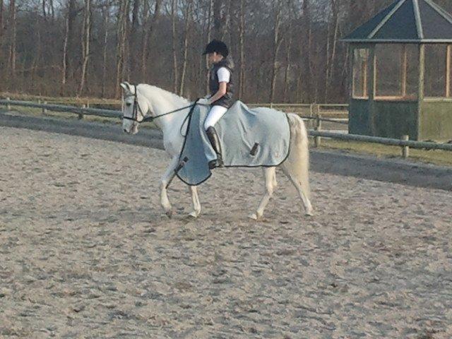 Anden særlig race cirkeline - Det er ikke den der er smuk som man elsker. Det er den man elsker som er smuk billede 5