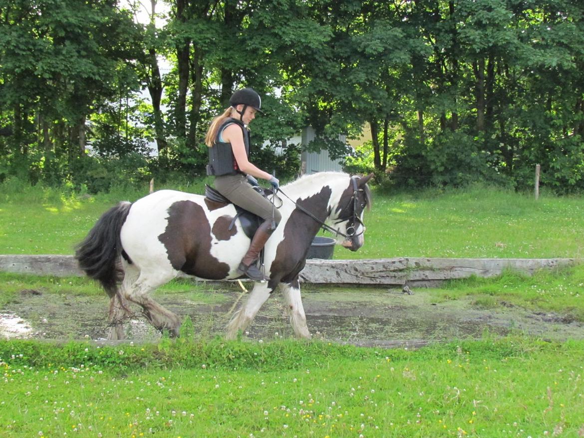 Tinker LL. Mølgårds Mc Phee/ Fie - Første gang Fie er igennem vandgraven <3
 billede 16