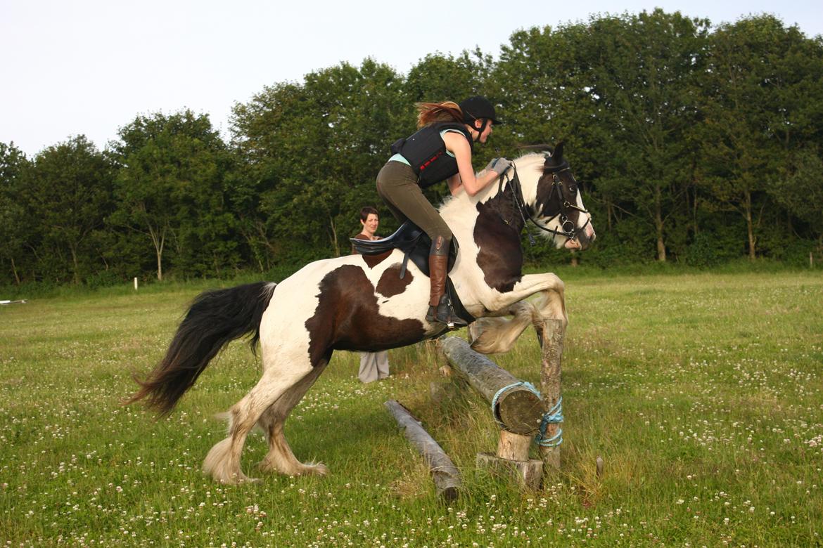Tinker LL. Mølgårds Mc Phee/ Fie - Terræn Træning i kragelund billede 18