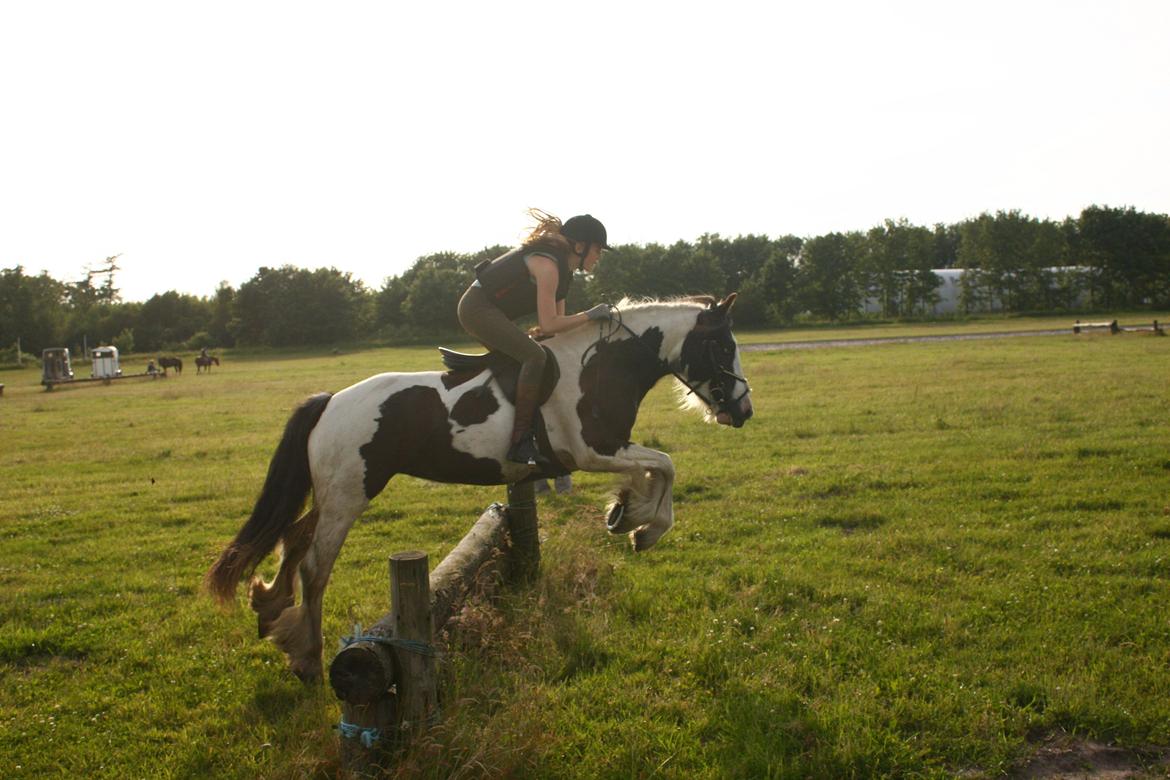 Tinker LL. Mølgårds Mc Phee/ Fie - Terræn Træning i kragelund billede 19