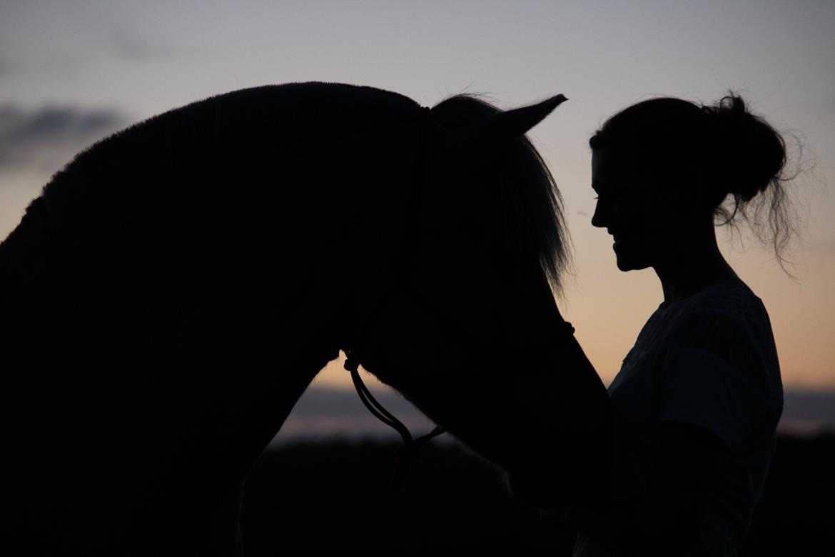 Fjordhest Freja - Min bedste ven og jeg i solnedgangen<3
Sensommer 2012 billede 9