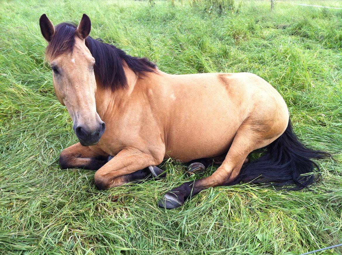 Anden særlig race Bratz <3 billede 18