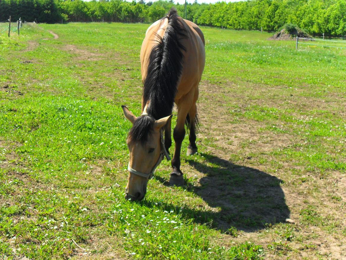 Anden særlig race Bratz <3 billede 19