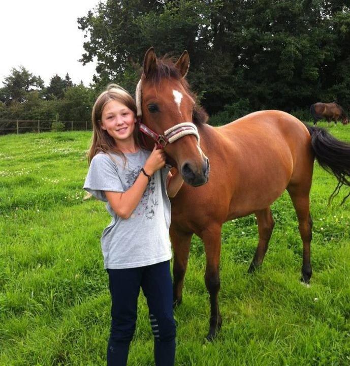 Belgisk Sportspony Icara <3 billede 15