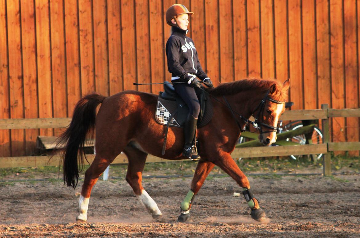 Anden særlig race Carlo  - 14 ♥ Mig og Carlo til undervisning
[ Foto: Simone ]  ♥ oktober 2011  billede 14