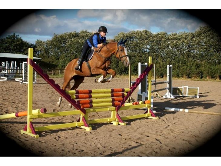 {{currentPhoto.altText}} billede {{currentPhoto.number}}