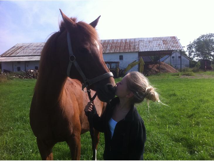 {{currentPhoto.altText}} billede {{currentPhoto.number}}