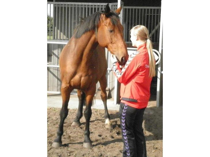 {{currentPhoto.altText}} billede {{currentPhoto.number}}