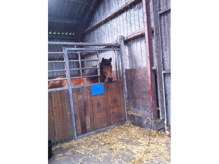 {{currentPhoto.altText}} billede {{currentPhoto.number}}