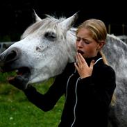 Anden særlig race Tøsen DreamTeam