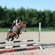 DSP Rosenkildes Marquis