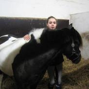 Anden særlig race Elvis (tidliger Lucky boy)<3