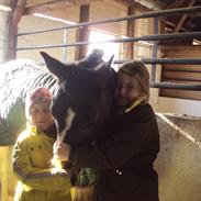 Anden særlig race Beauty