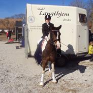 Anden særlig race Beauty