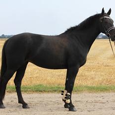 Oldenborg Bianca af Tanderup (Gippe'sen)