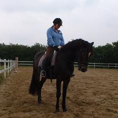 Anden særlig race Prins Charming *Har redet*