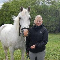 Anden særlig race Sunshine