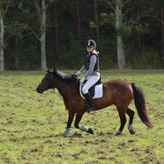 Anden særlig race Zoya