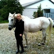 Anden særlig race Mickey