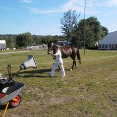 Oldenborg Bøgelunds Runa