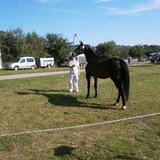 Oldenborg Bøgelunds Runa