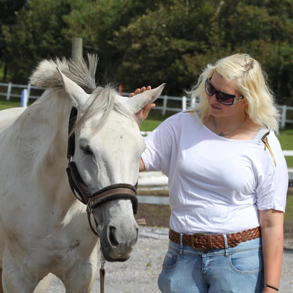 Trakehner Hawa (Bint-Al-Hawa) billede 3